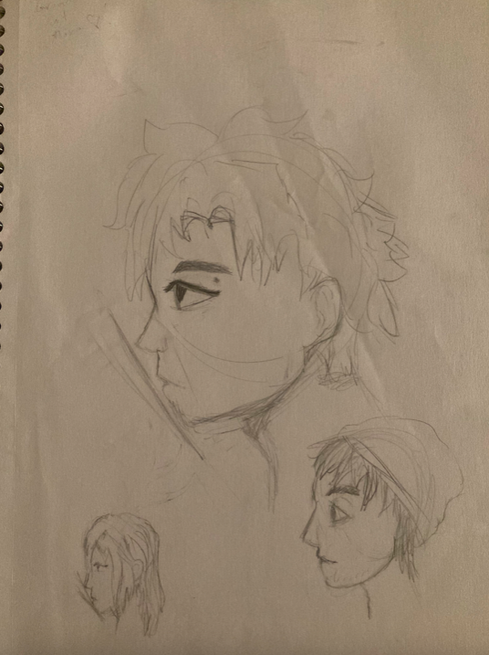 Finally, some actual practice! I'm proud of myself for strugleing through such a horrid task as drawing side profiles! I followed a Kooleen tutorial with this one and they turned out very bad.